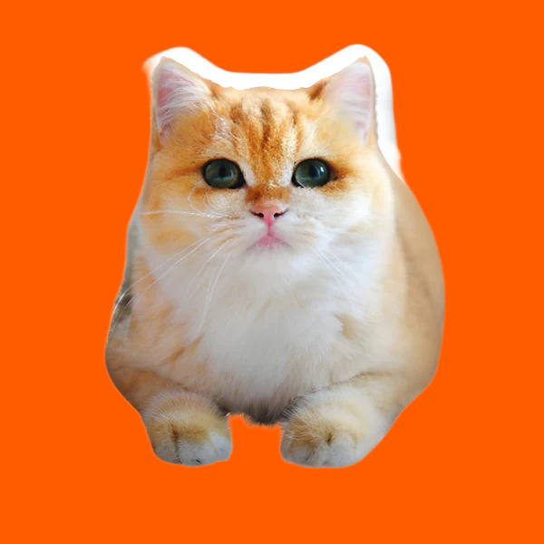 Custom Shaped Cat Pillow Pillow Custom