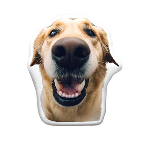 Custom Shaped Dog Pillow Pillow Custom