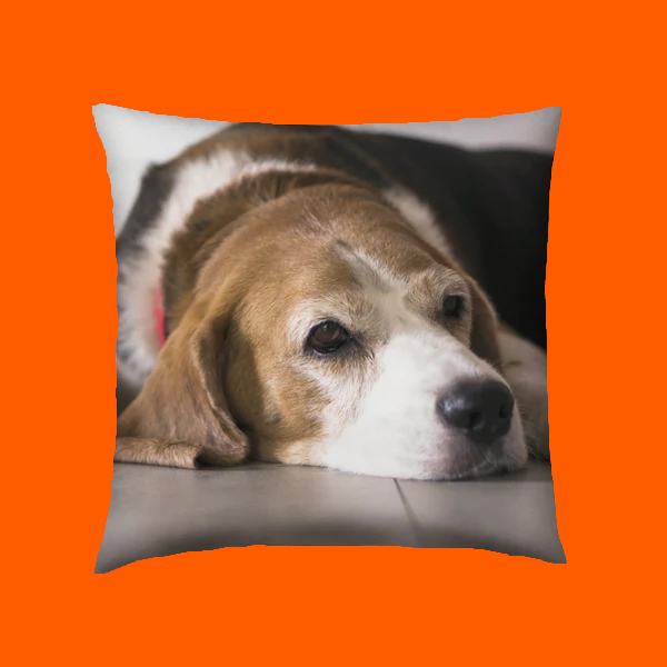 Custom Square Pillow Pillow Custom
